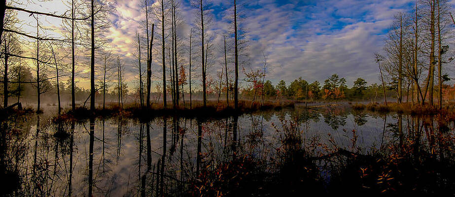 Sunrise Wall Art featuring the photograph Sunrise Along The Mullica River In Pinelands by Louis Dallara
