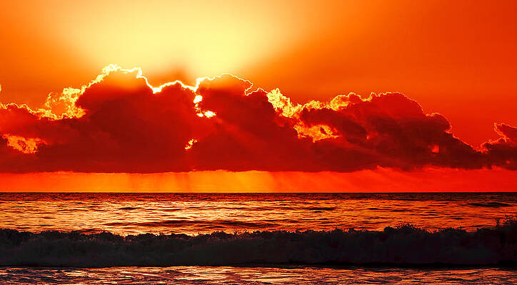Beach Photograph - Sunrise Over Forster Beach by Nicholas Blackwell