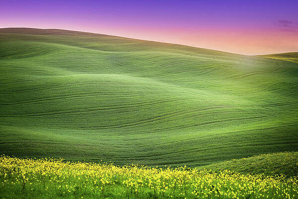 Wall Art featuring the photograph Sunrise Over The Hills Spring by Deimagine