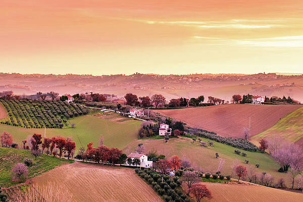 Wall Art featuring the photograph Sunrise Tuscany Vineyard by Deimagine