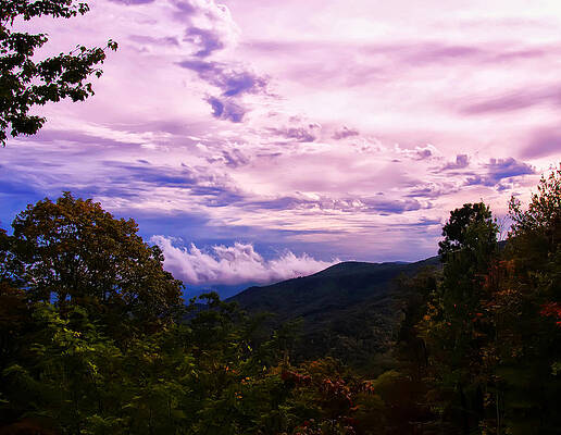 North Carolina Wall Art featuring the photograph Sunset At Gorges State Park by Flees Photos