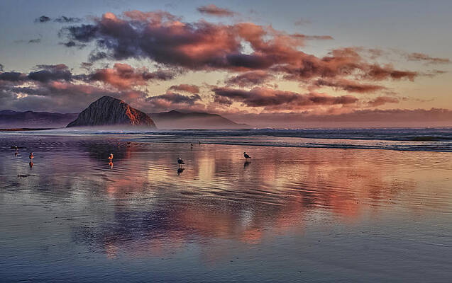 Sunset at Morro Bay Photograph