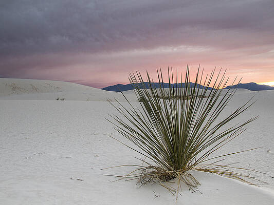 Abstract Photograph - Sunset At White Sands by Jean Noren