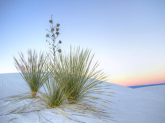 Dramatic Wall Art featuring the photograph Sunset At White Sands Monument by Jean Noren