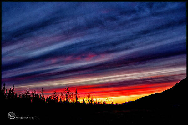 Photograph - Sunset by Fred Denner