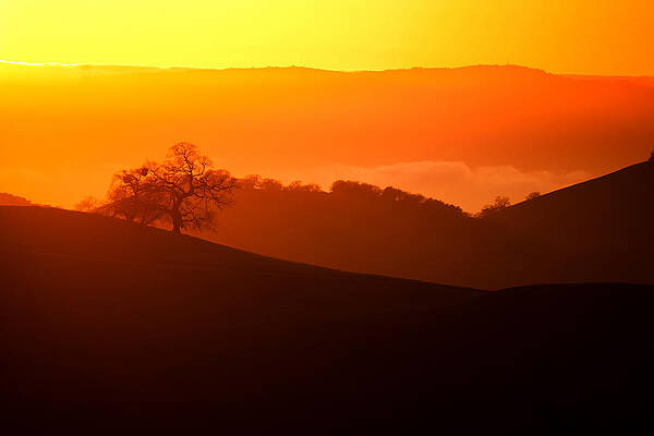 Sunset From Mt. Hamilton by Lisa Chorny