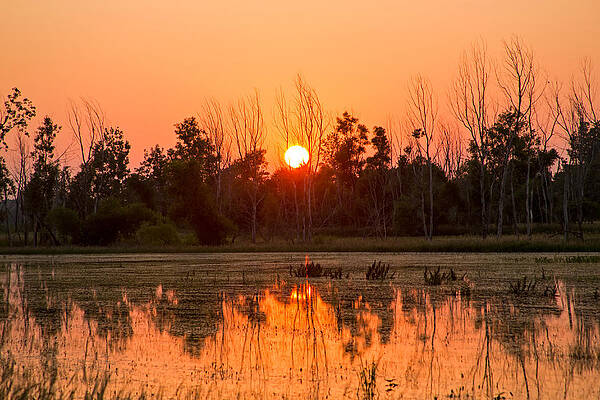Marsh Photograph - Sunset In Wisconsin by Natural Focal Point Photography