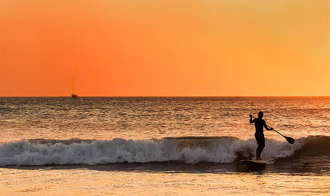 Summer Photograph - Sunset Paddleboard Surfer by Mary Jo Allen