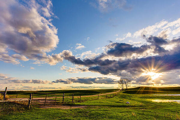 Sunset Over a Green Pasture Wall Art