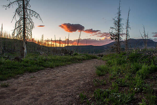 Nature Photograph - Sunset Trail by Jeff Stoddart