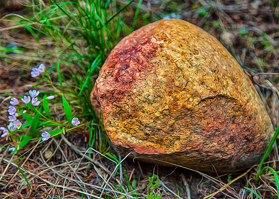 Summer Painting - Sunshine Rock by Omaste Witkowski
