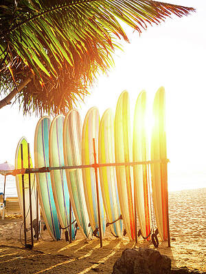 Sunlit Surfboards on Sandy Beach Wall Art