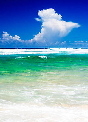 Beach Photograph - Surf's Up by Nicholas Blackwell