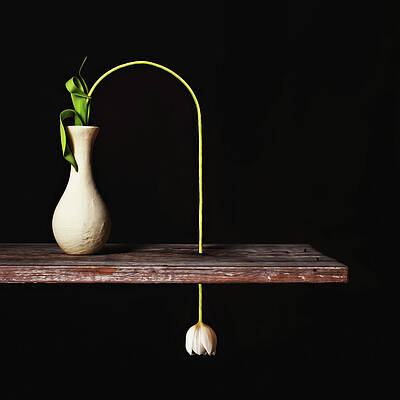 Curved Tulip and Vase Wall Art