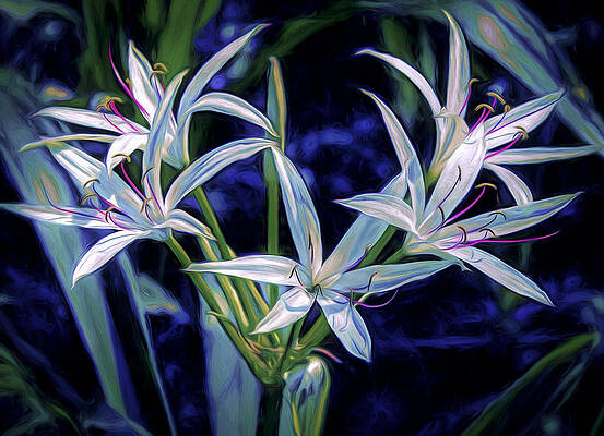 Photograph - Swamp Lilies by Steven Sparks