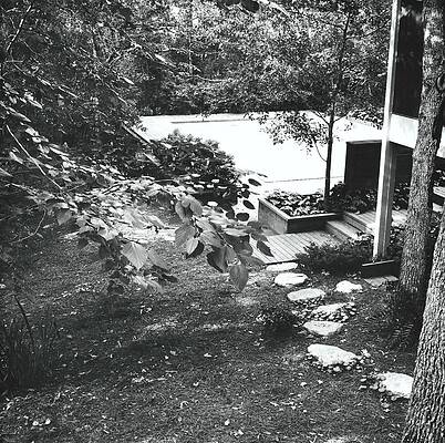 Texas Photograph - Swimming Pool In Garden by Ralph Bailey