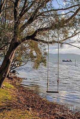 Beach Photograph - Swing by Nicholas Blackwell