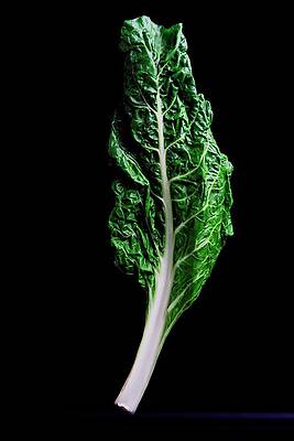 Vibrant Chard Leaf Photograph