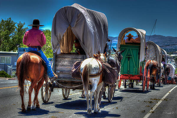 Horse Wall Art featuring the photograph Tail End Of Cattle Drive by Carla E