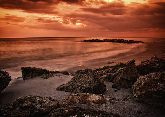 Florida Photograph - Tangerine Dream by Ghostwinds Photography
