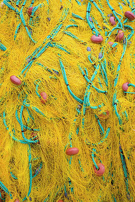 Wall Art featuring the photograph Tangled Fishing Nets, Fiskardo by David C Tomlinson