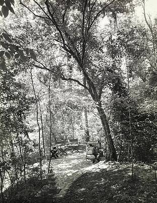 Texas Photograph - Terrace On The Property Of R. L. Stevenson by Tom Leonard