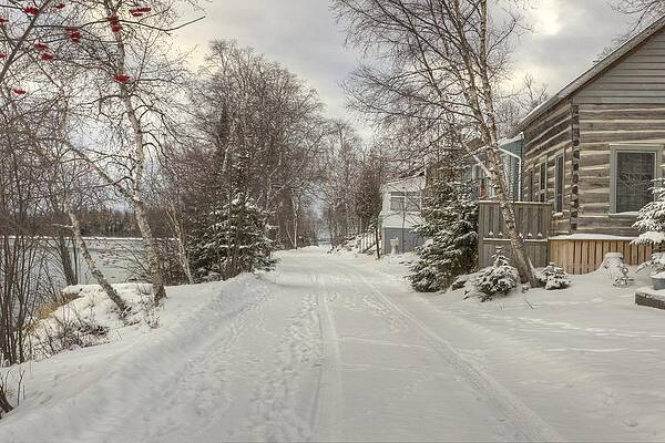 Wall Art featuring the photograph The Avenue At Silver Islet by Linda Ryma
