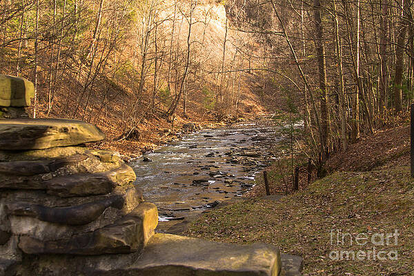 Winter Photograph - The Brook by William Norton