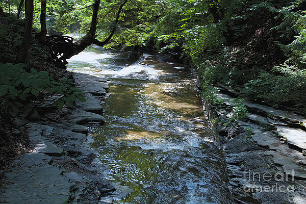Summer Photograph - The Chanel by William Norton