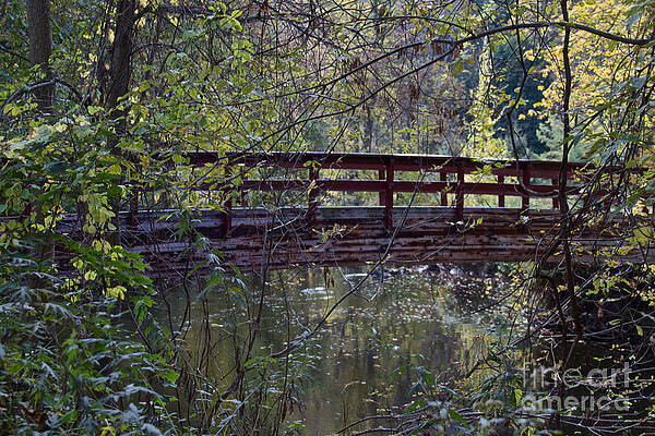 Architecture Wall Art featuring the photograph The Crossing by William Norton