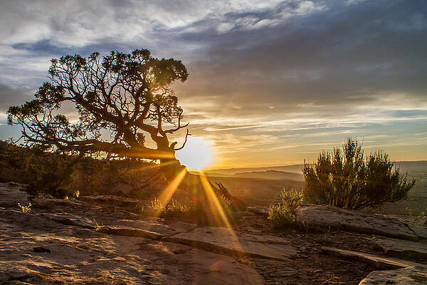 Nature Photograph - The Day Is Done by Jeff Stoddart