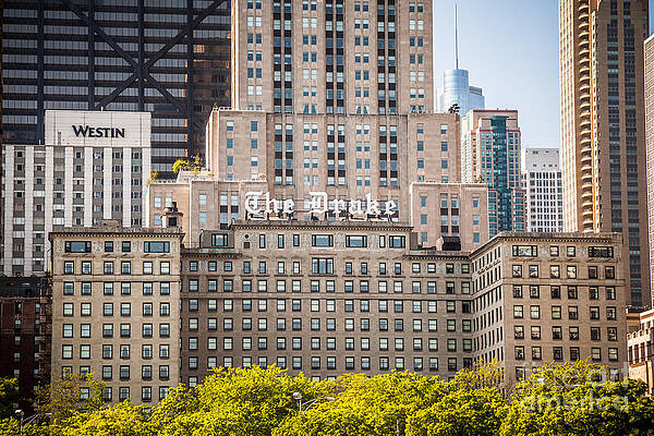 Illinois Wall Art featuring the photograph The Drake Hotel In Downtown Chicago by Paul Velgos