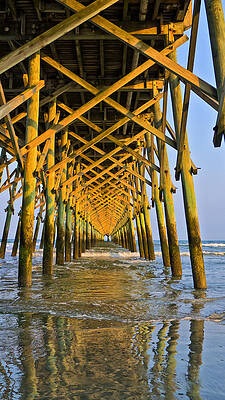 South Carolina Photograph - The Endless Summer by Louis Dallara