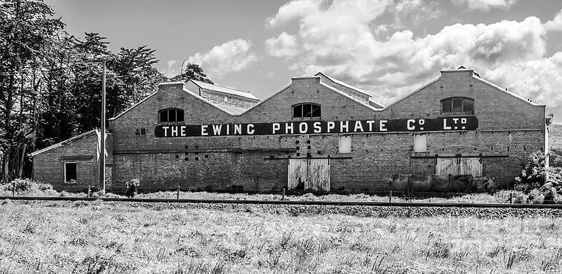 Desert Photograph - The Ewing Phosphate Company by Nicholas Blackwell