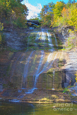 Summer Photograph - The Falls by William Norton