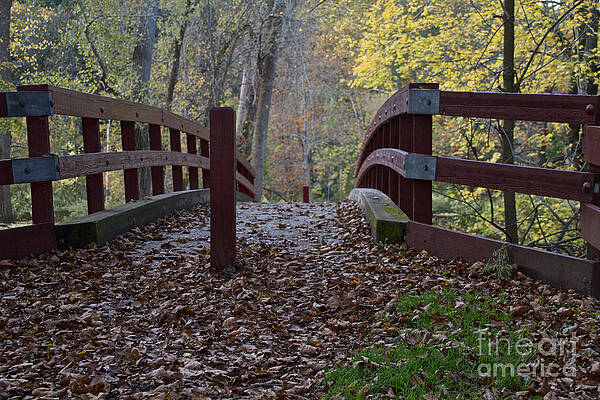Architecture Wall Art featuring the photograph The Foot Bridge by William Norton