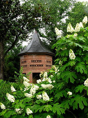Garden Wall Art featuring the photograph The Garden Folly by C Thomas Cooney
