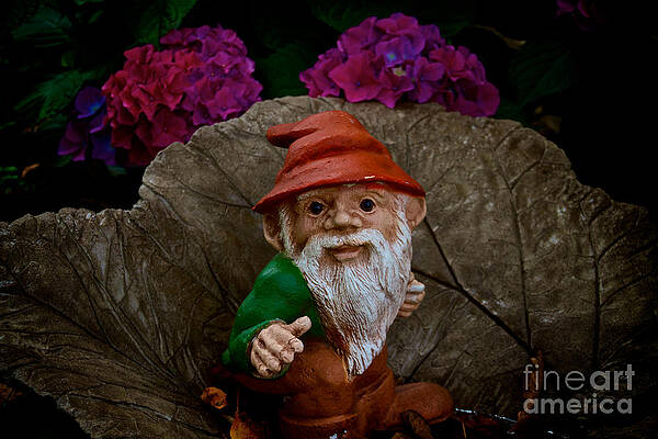 Summer Photograph - The Garden Guard by William Norton