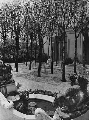 Serene Garden with Fountain and Trees Photograph