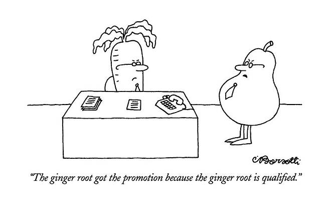 Ground Drawing - The Ginger Root Got The Promotion Because by Charles Barsotti