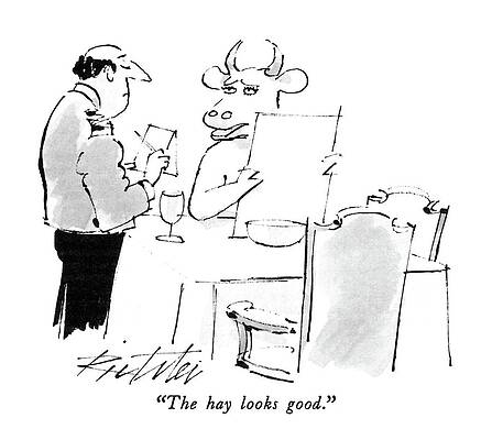 Cow Wall Art featuring the drawing The Hay Looks Good by Mischa Richter