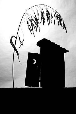 Silhouette of Rustic Outhouse Photograph