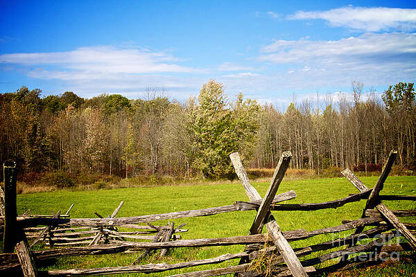 Sky Wall Art featuring the photograph The Pasture by William Norton