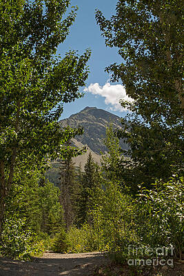 Glacier National Park Photograph - The Path To Running Eagle Falls by Natural Focal Point Photography