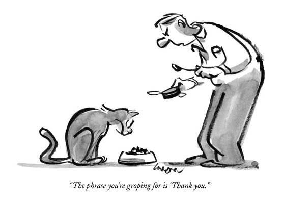 Man Feeding a Picky Cat Drawing