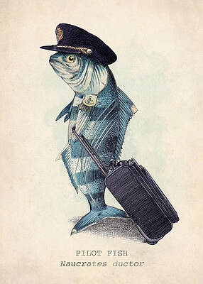 Fish in Pilot Uniform Wall Art