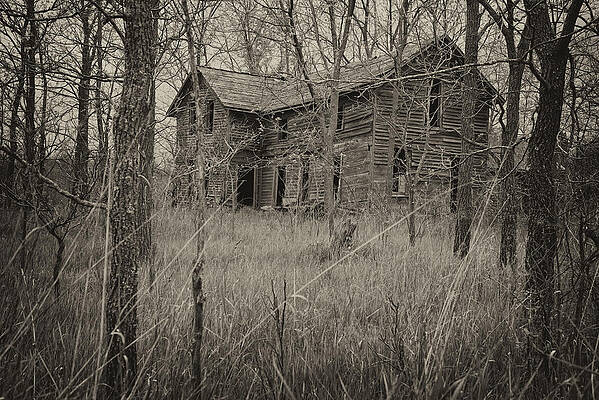 Mary Lee Photograph - The House In The Woods by Mary Lee Dereske