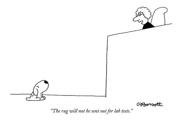 Humorous Courtroom Cartoon with Dog Wall Art