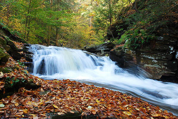 Color Photograph - The Rushing Waterfall by Crystal Wightman