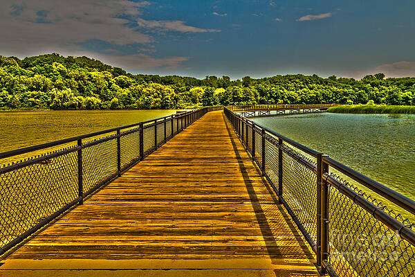 Architecture Wall Art featuring the photograph The Walkway by William Norton